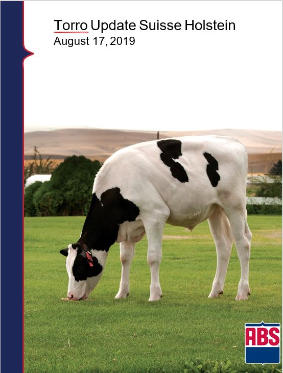 Holsteinslection sam082019