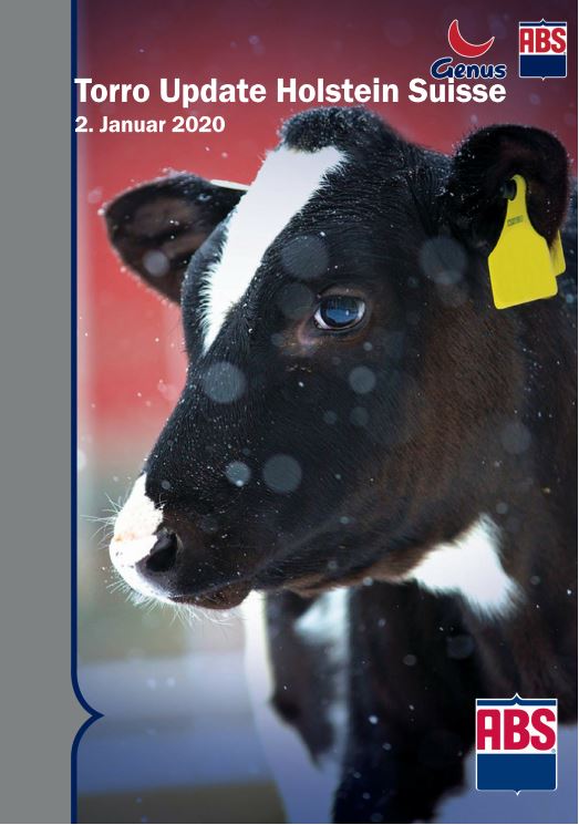 Torro hiver 2020