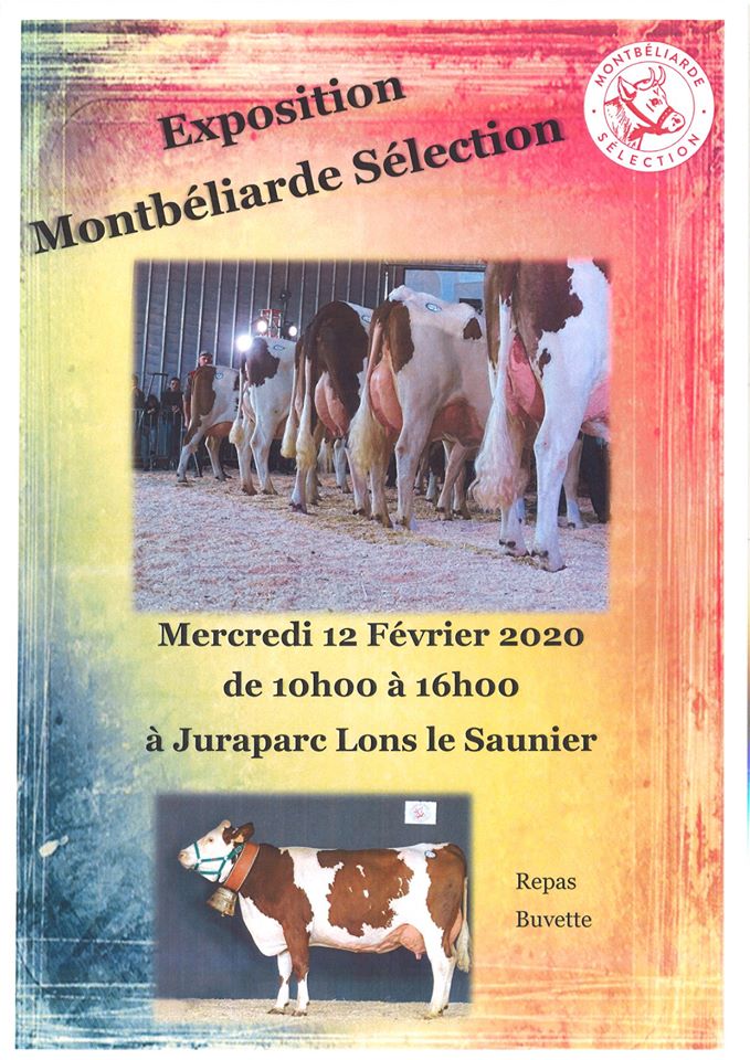 Expo MS2020