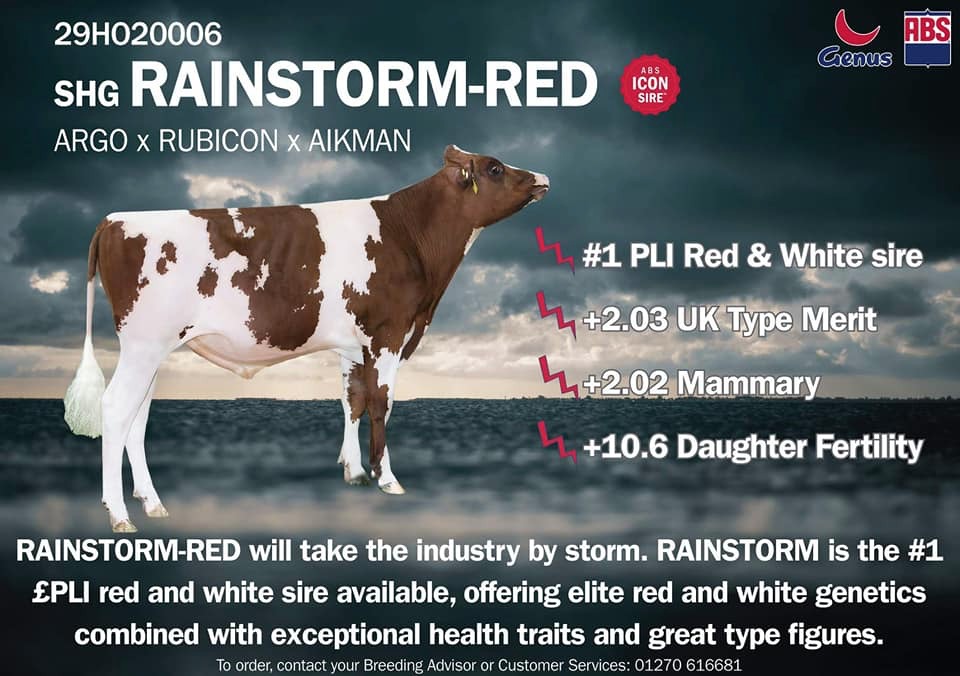 Rainstorm red