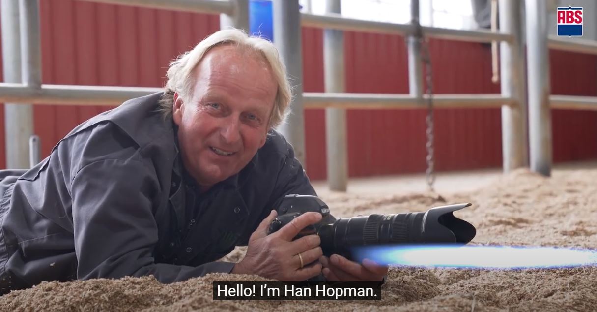 Video ABS Hopman